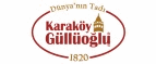 karakoygulluoglu.com